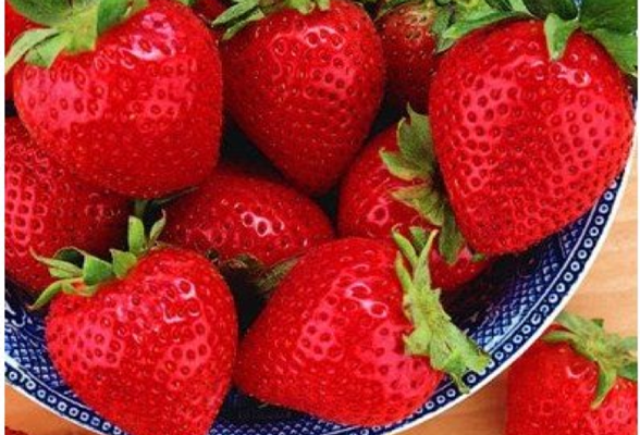 The Health Benefits of Strawberry