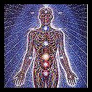 Chakra body Dr Akilah El