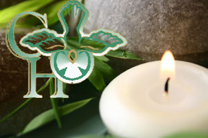 Wellness Treatment
